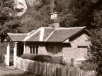 DSC06275