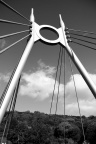 _MG_0929